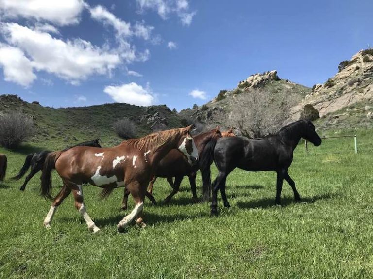 Flying X Ranch Located in the Laramie Mountains of southeastern Wyoming
